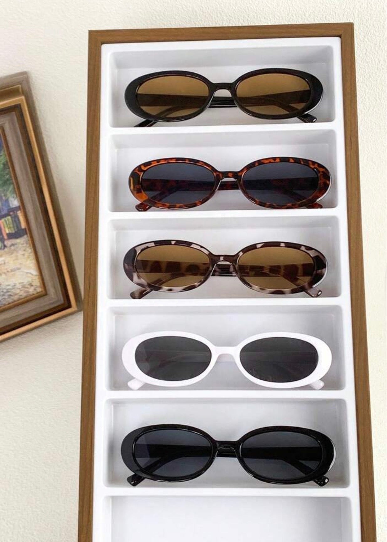 Oval Sunglasses